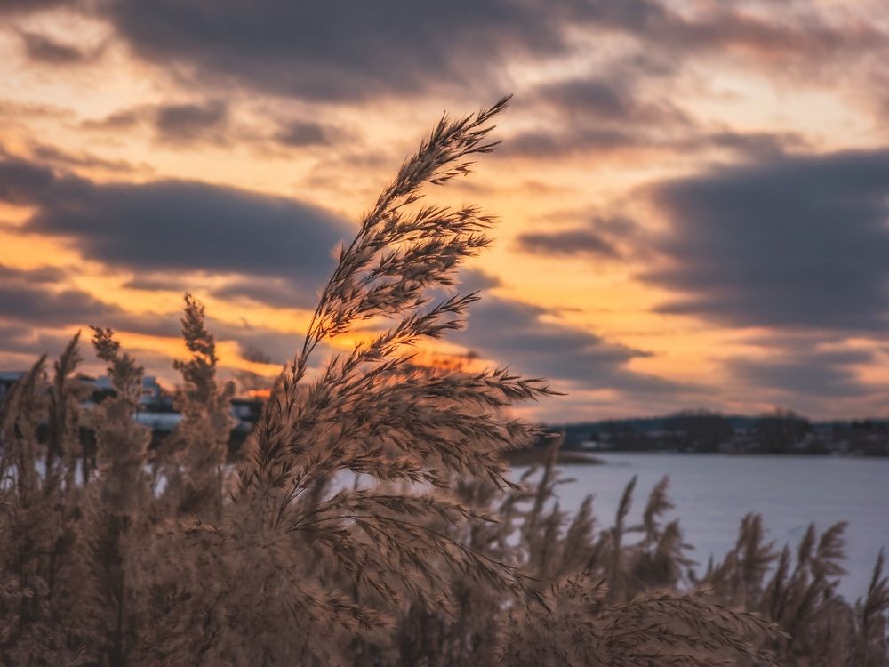 Photograph by Кирилл Сидоров