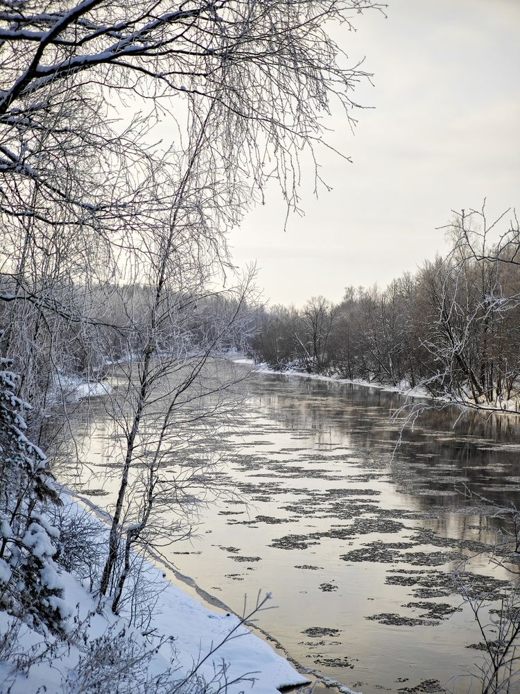 Фотография автора Наталья Данилова