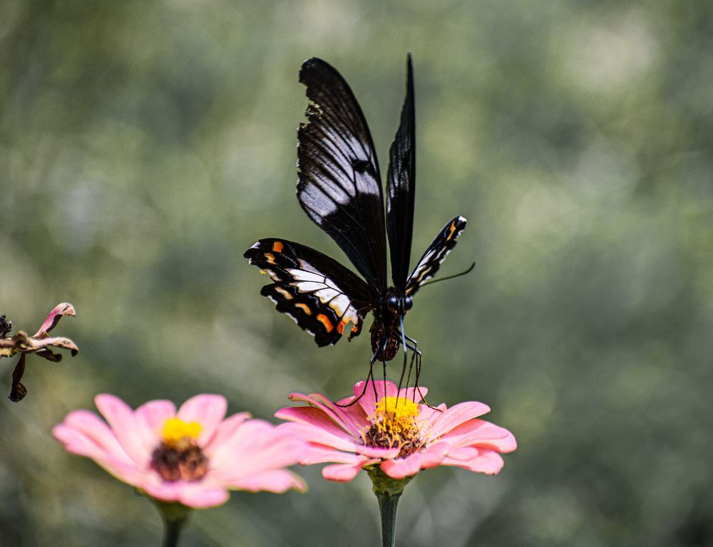 Photograph by Yannah Tekwie