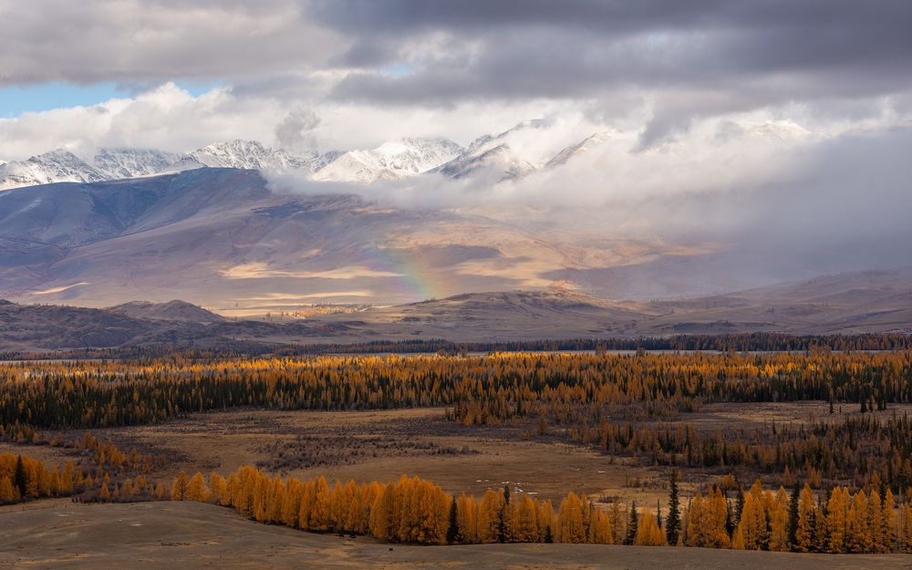 Photograph by Ирина Кудрина