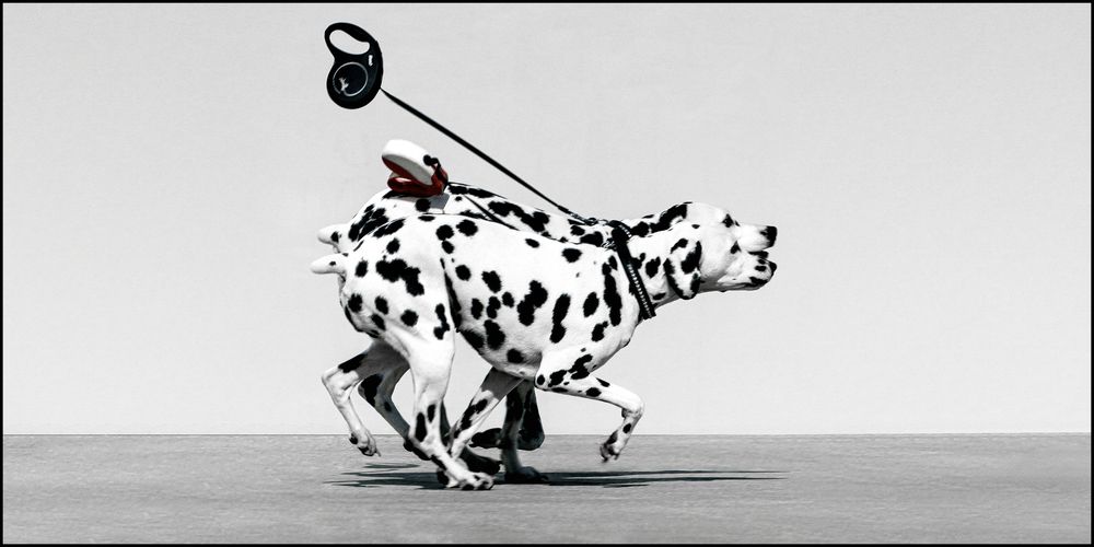 Photograph by Марлен Маан