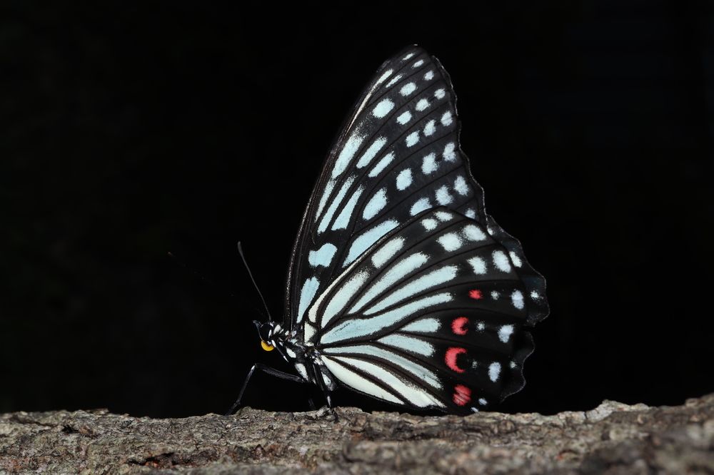 Photograph by Se Lena