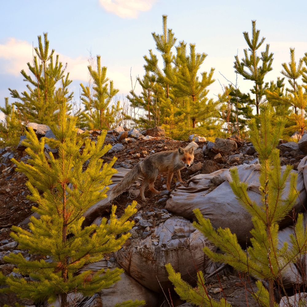 Photograph by Александр Фунтов