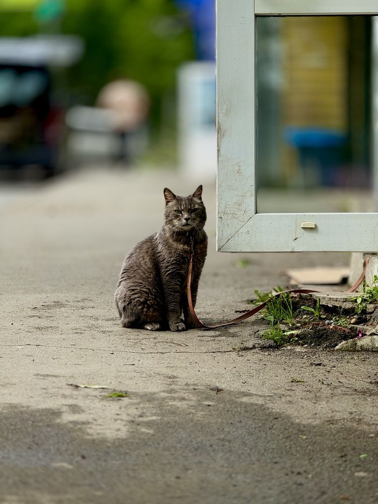 Фотография автора Ксения