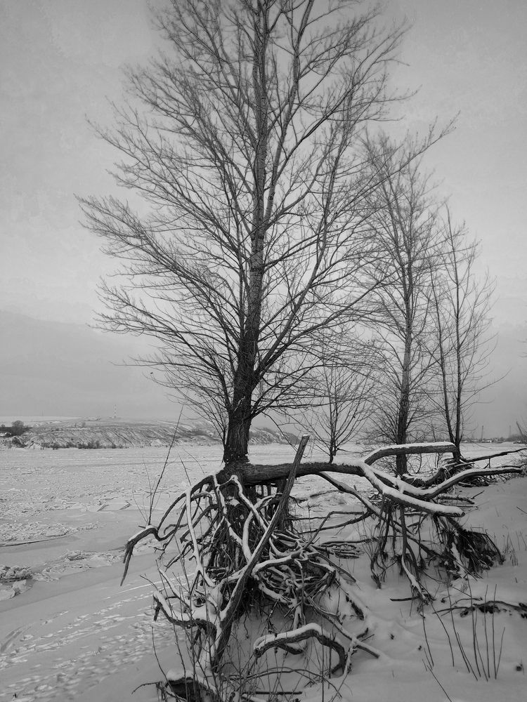 Photograph by Серёга Ануфриев