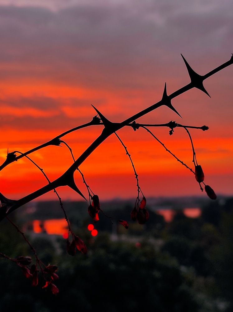 Photograph by Ирина Мазюк