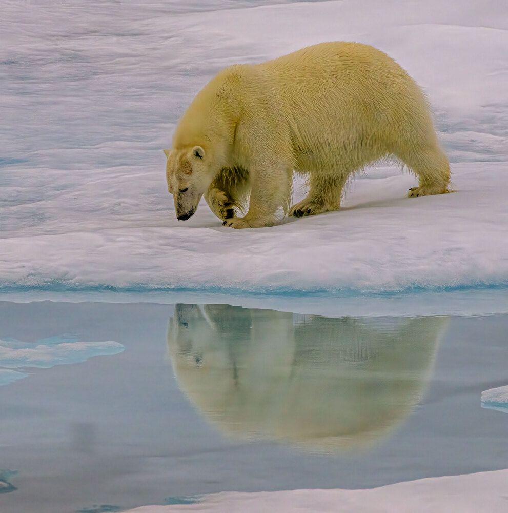 Фотография автора gagarin andrey