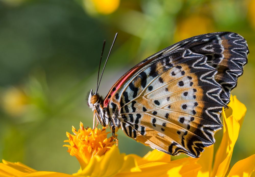 Photograph by Сергей Молоков