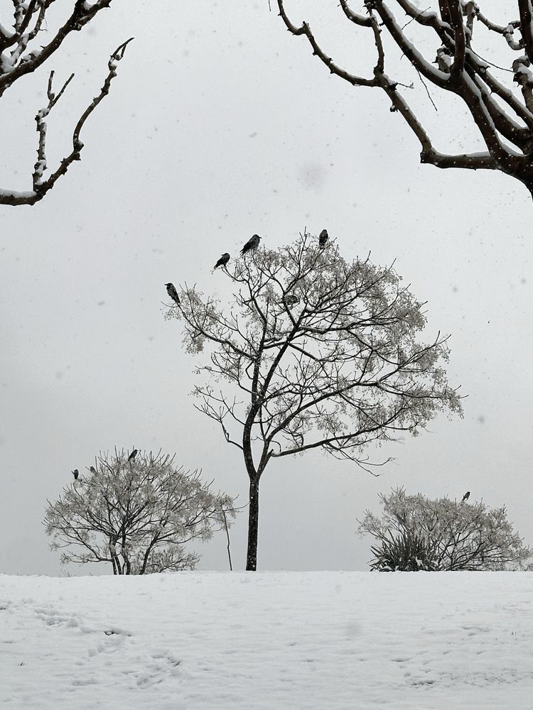 Photograph by SABA Etehad Ketabchi