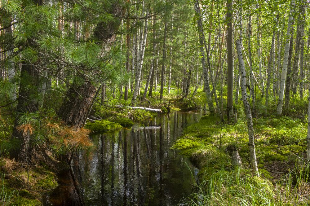 Photograph by Михаил Дронов