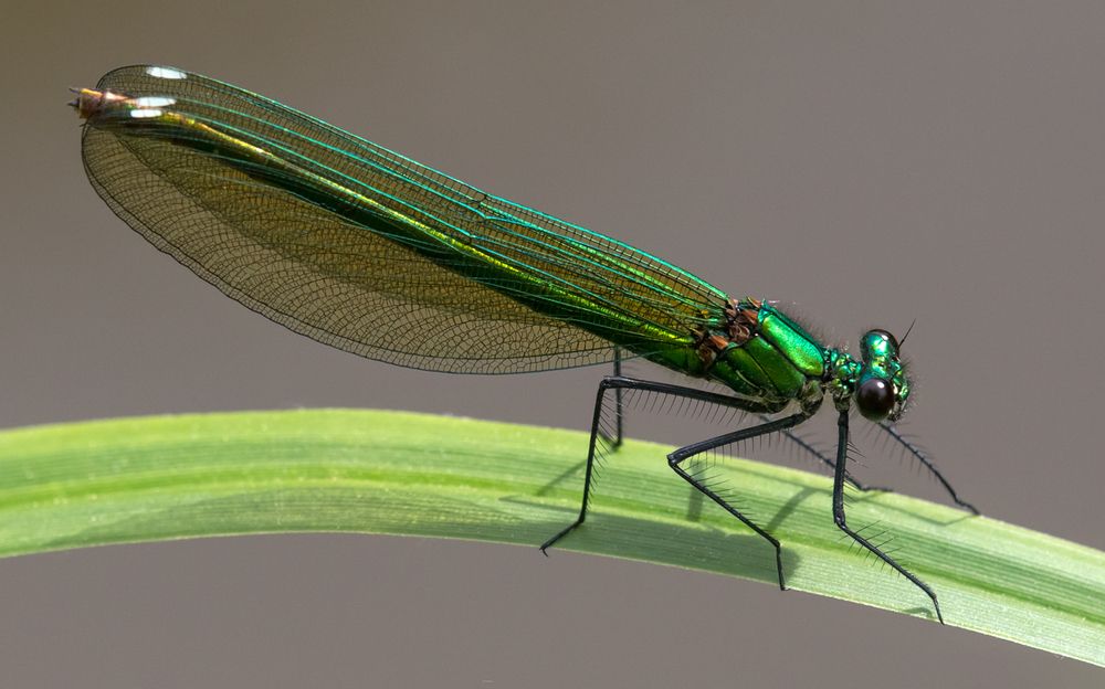 Photograph by Сергей Алексеев