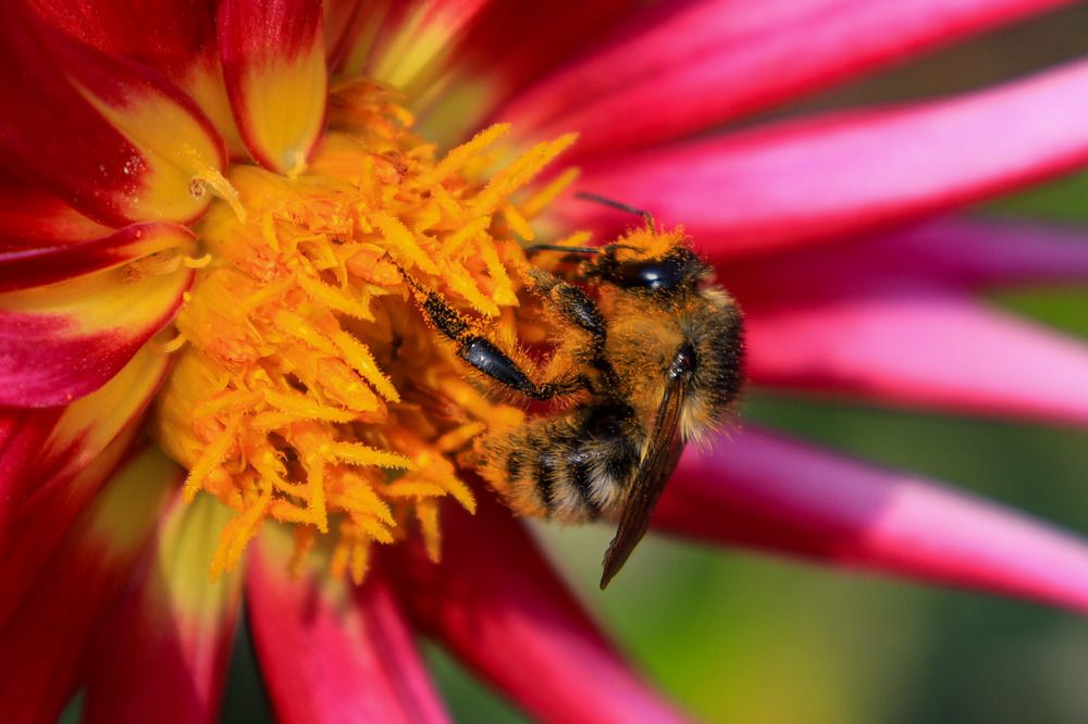 Photograph by Дарья Целуйко