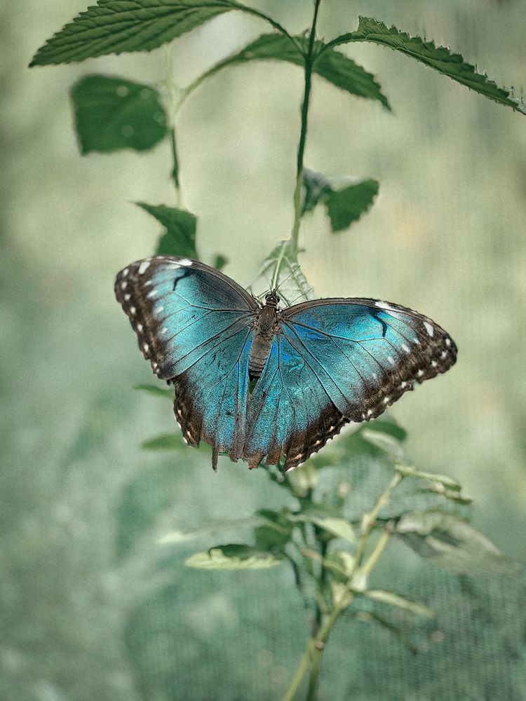 Photograph by Maria Volnova