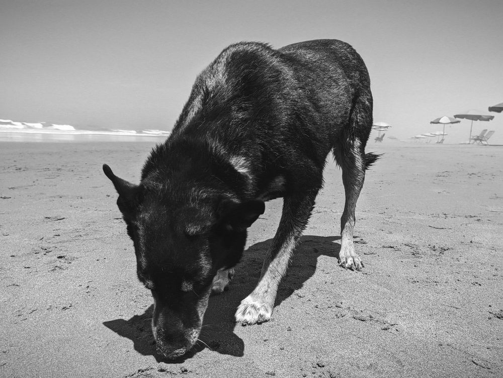 Photograph by Oscar Curo