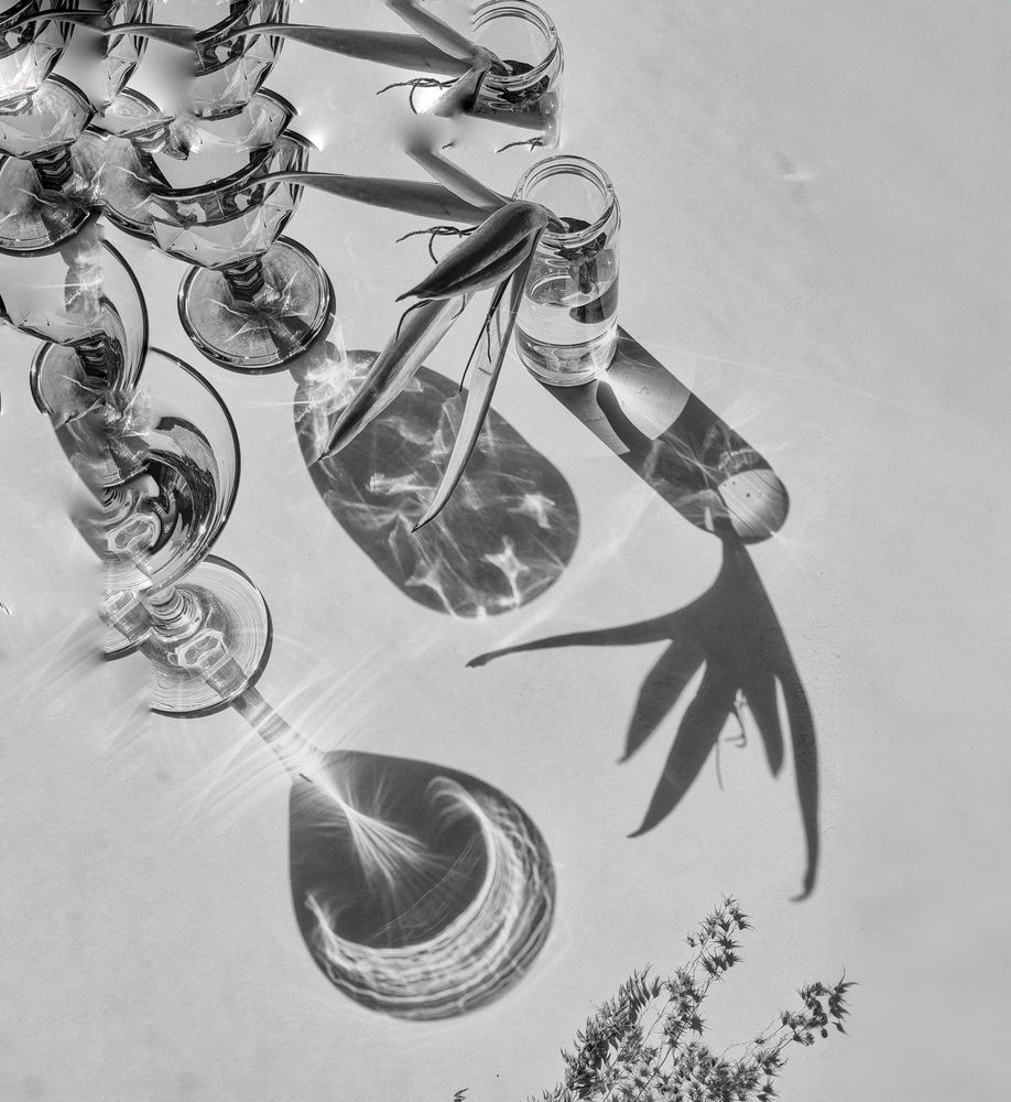 Photograph by Maria Volnova