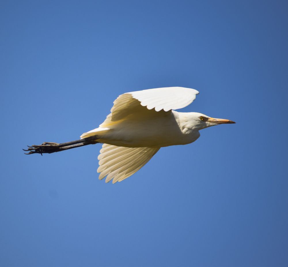 Photograph by Abhishek Basak