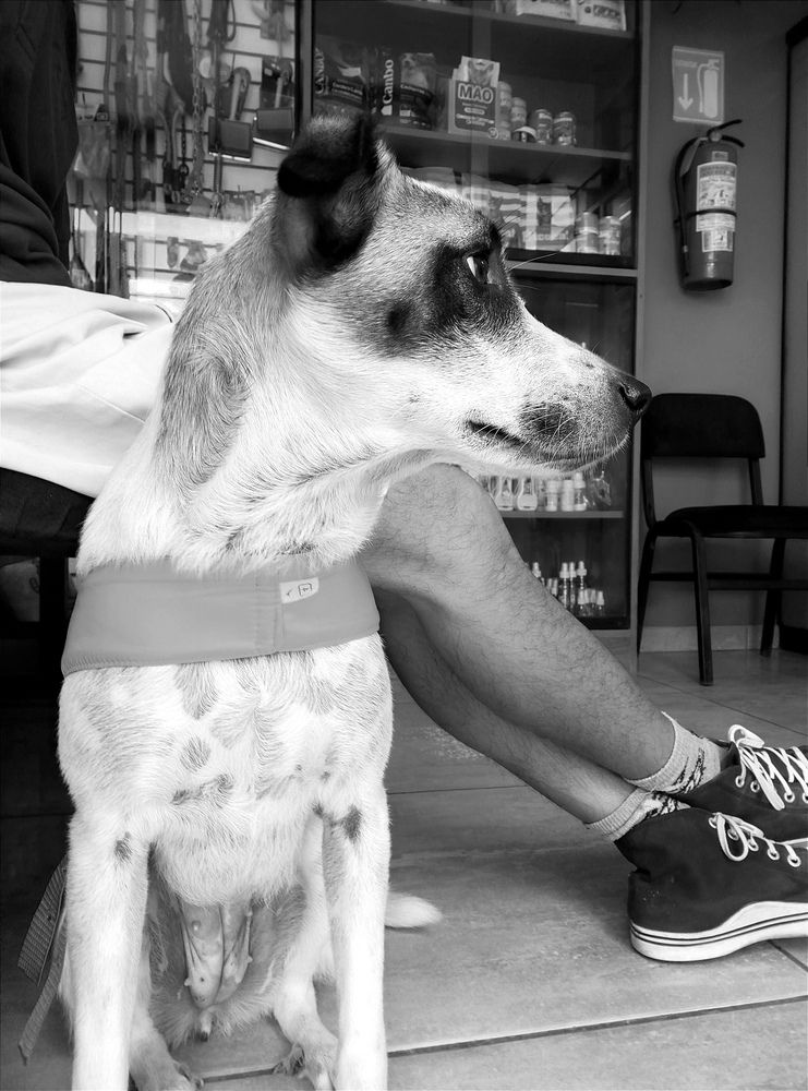 Photograph by Oscar Curo