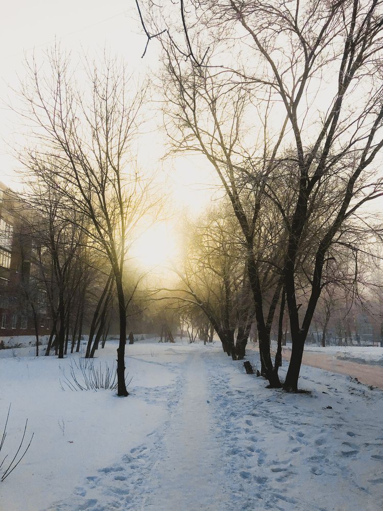 Photograph by Евгений Ульянчев