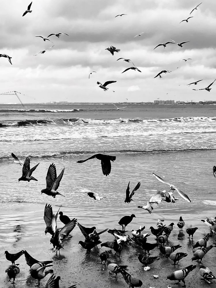 Photograph by Марина