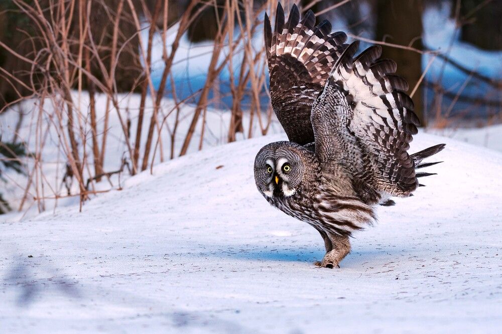 Фотография автора Павел Ныриков