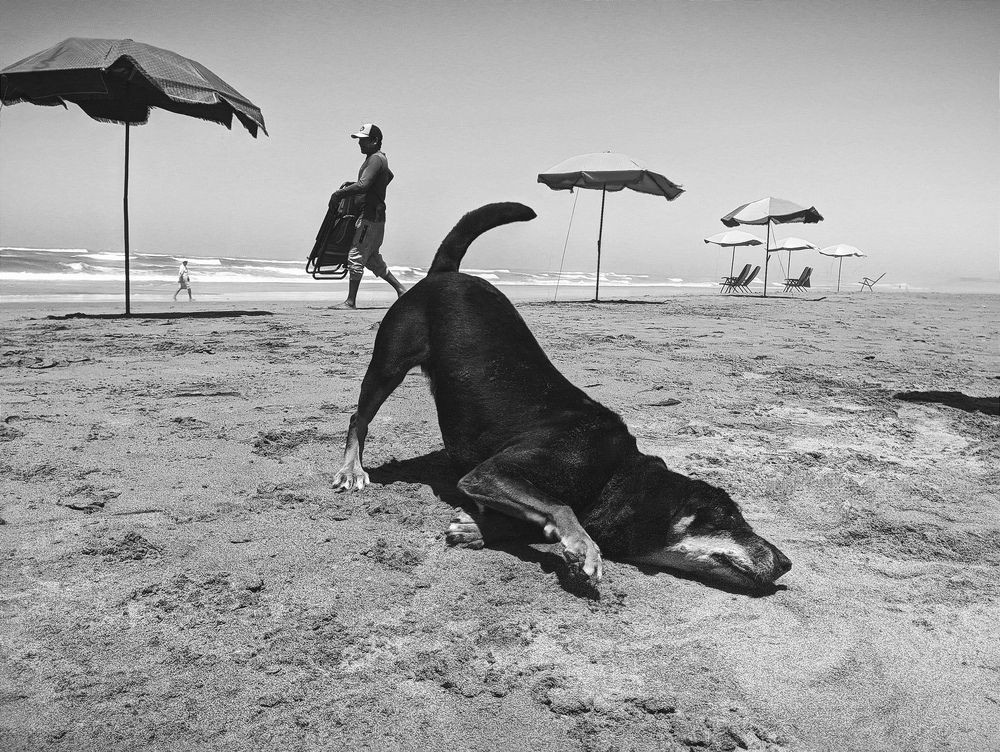 Photograph by Oscar Curo