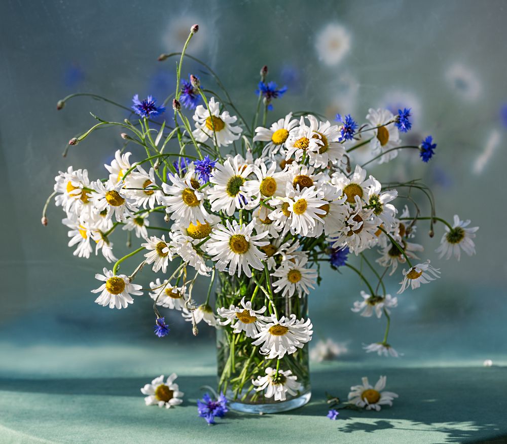 Photograph by NADEZHDA PELYMSKAIA