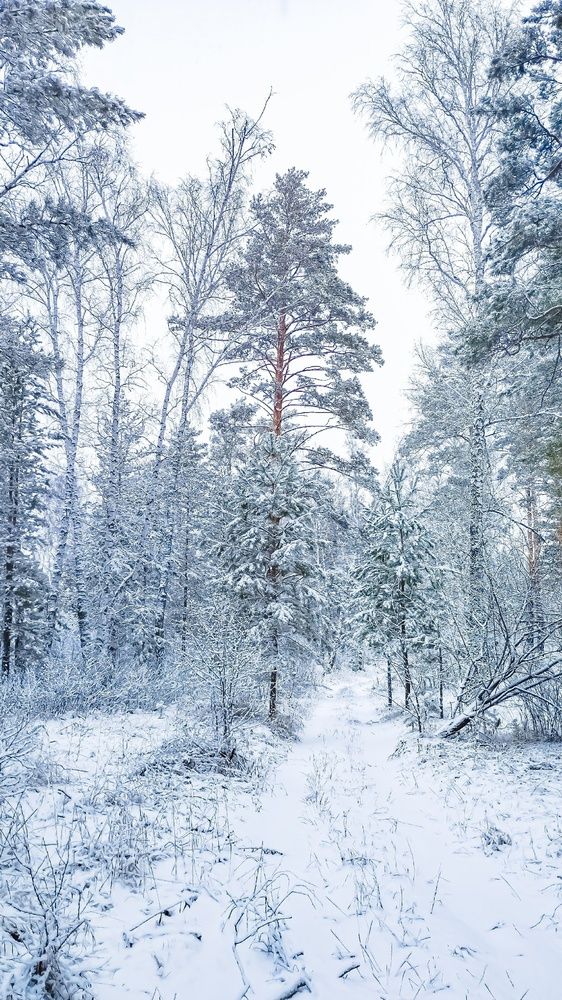 Photograph by Евгений Ульянчев