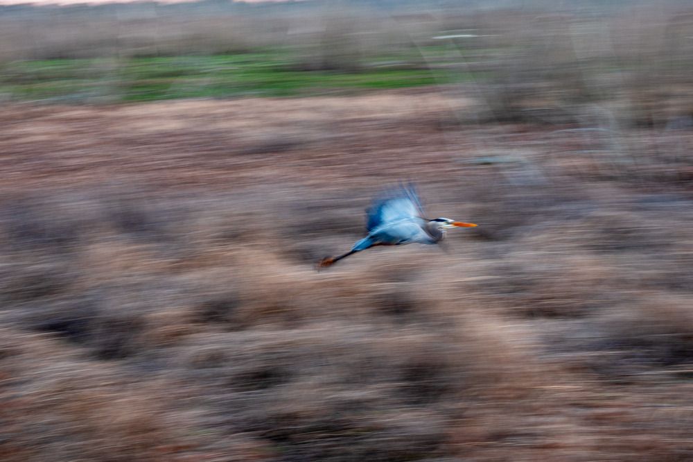 Photograph by Анатолий Костерев