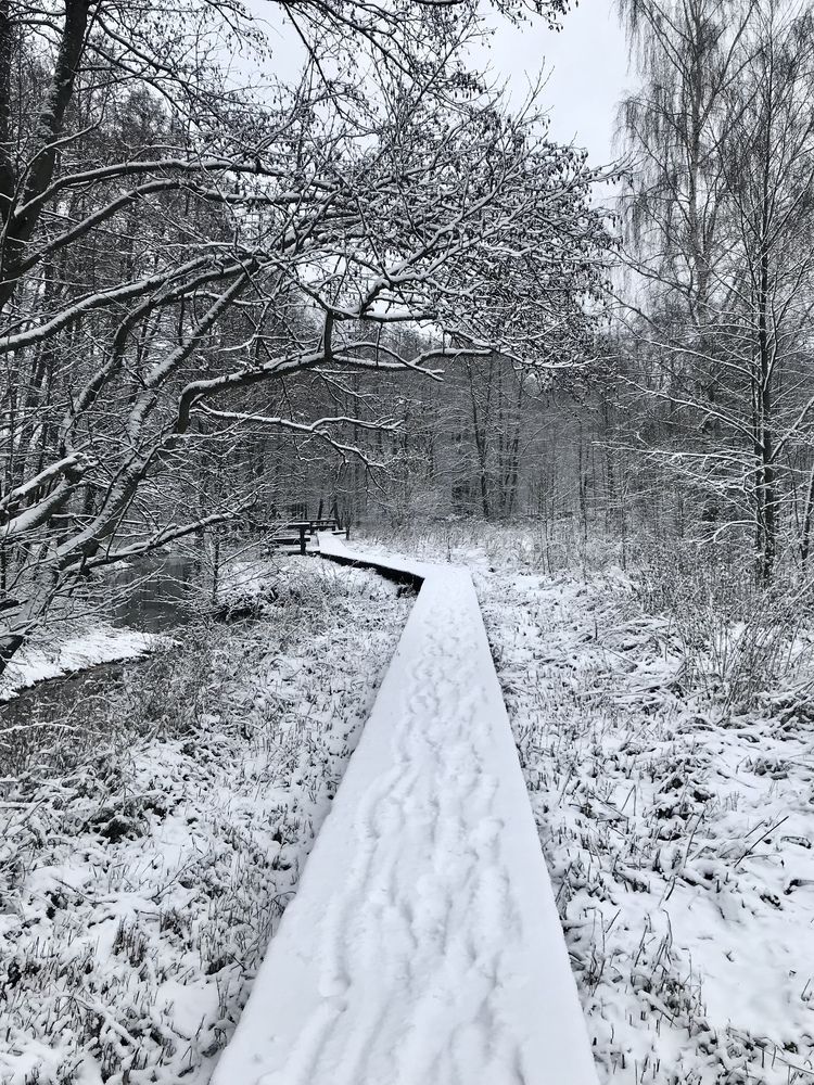Photograph by Надежда Ткаченко