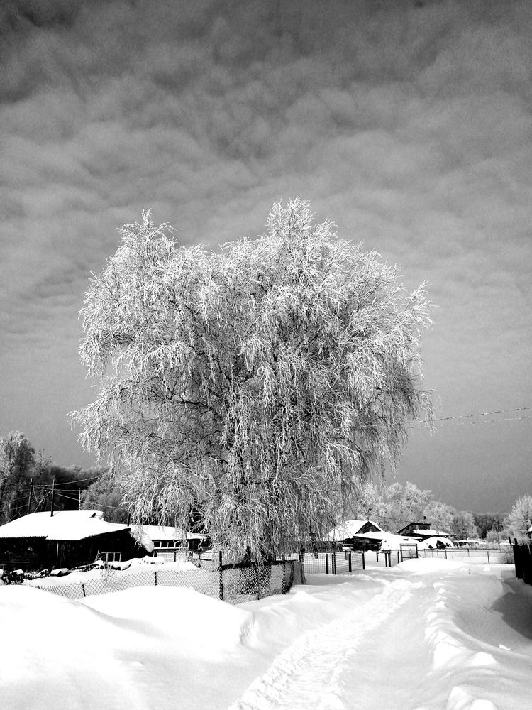 Photograph by Галина Попова