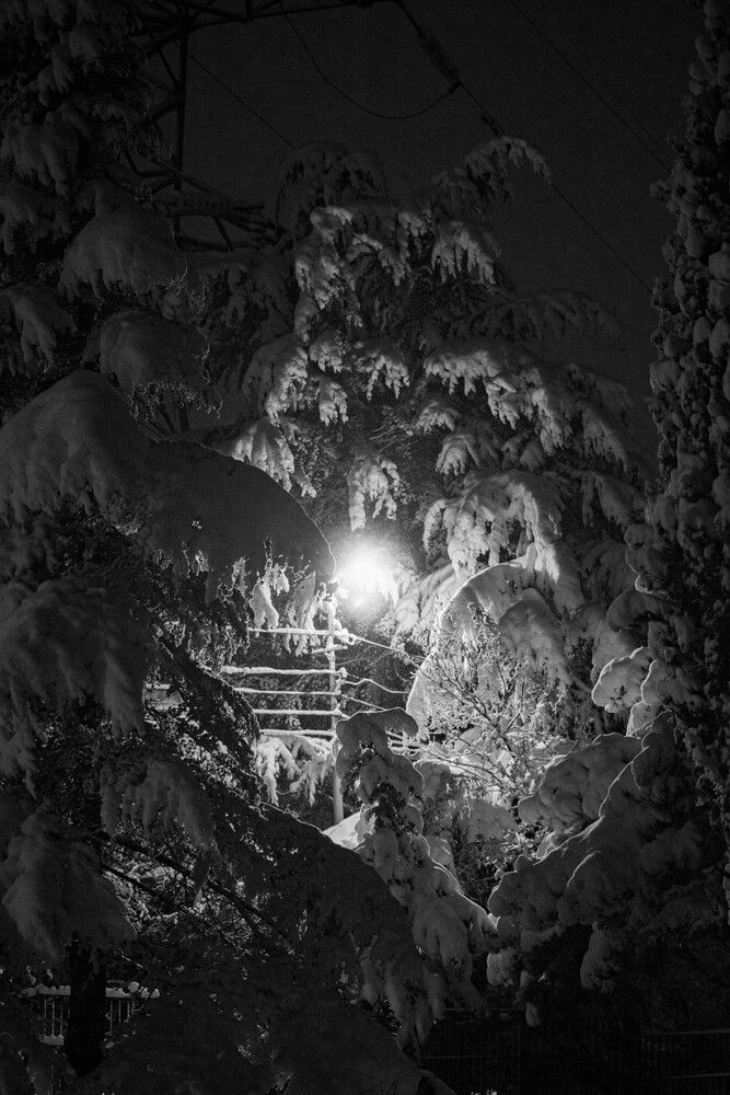 Photograph by Андрей Савёлов