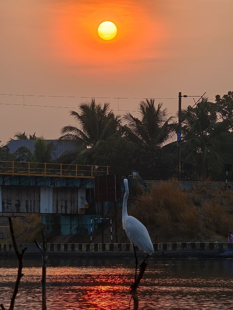 Photograph by Aaron Varghese