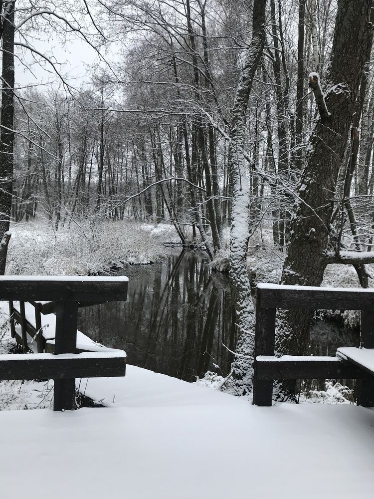 Photograph by Надежда Ткаченко