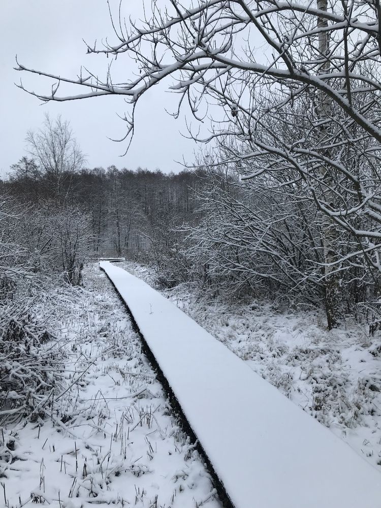 Photograph by Надежда Ткаченко