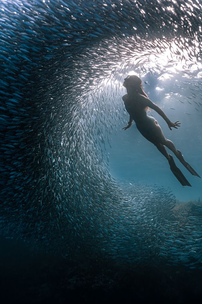 In the center of the underwater symphony