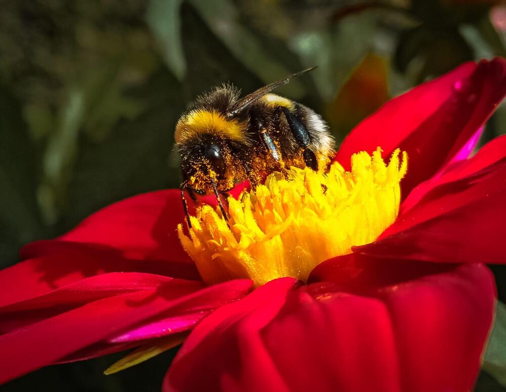 Photograph by Александра Королёва