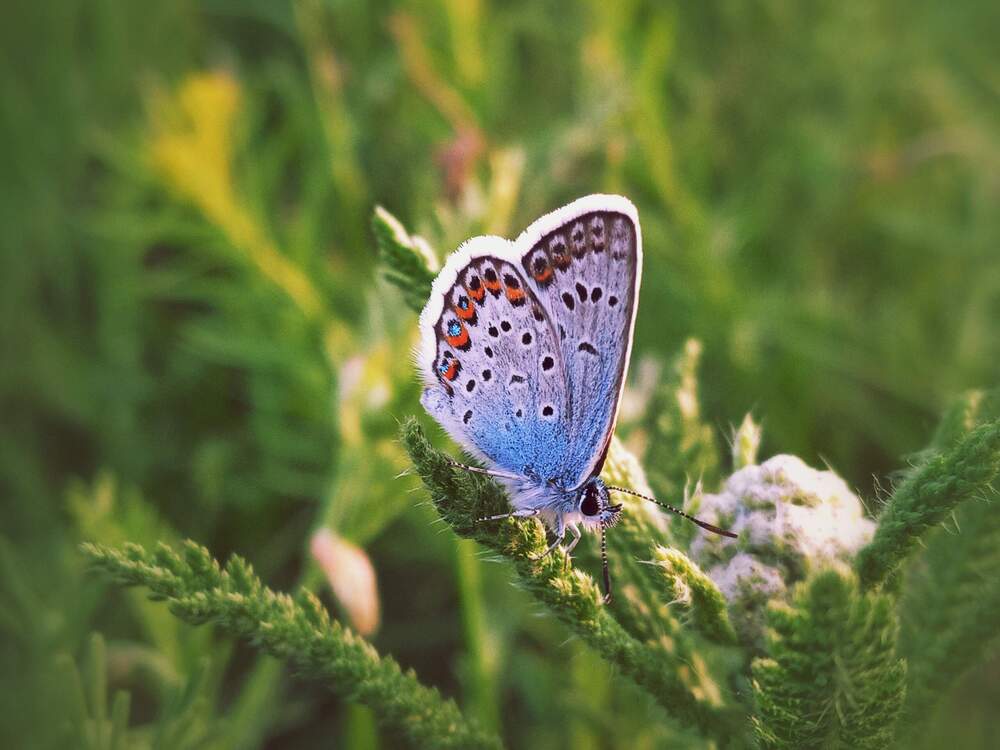 Photograph by Александра Королёва