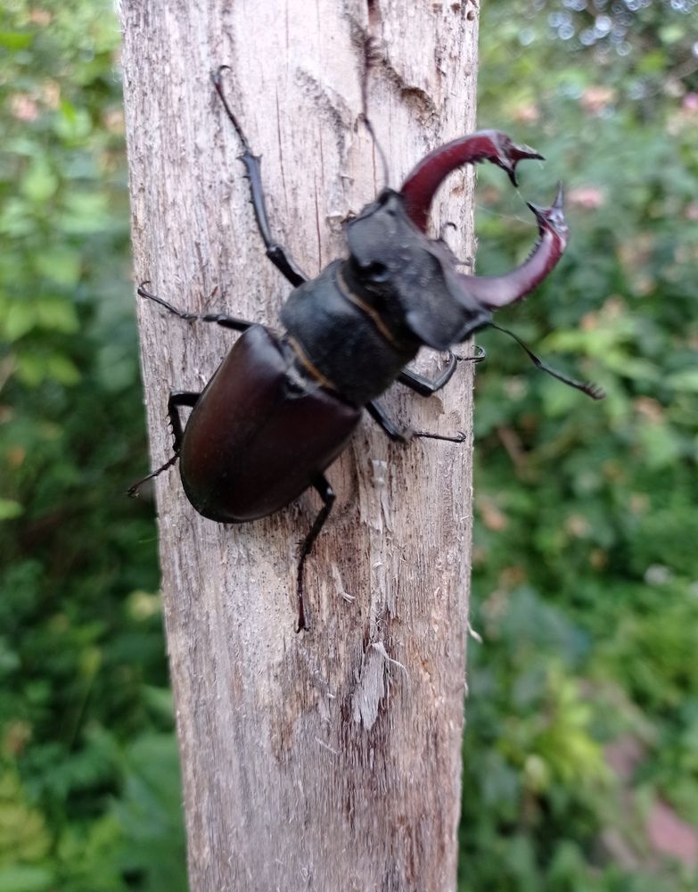 Photograph by Ирина Марченко