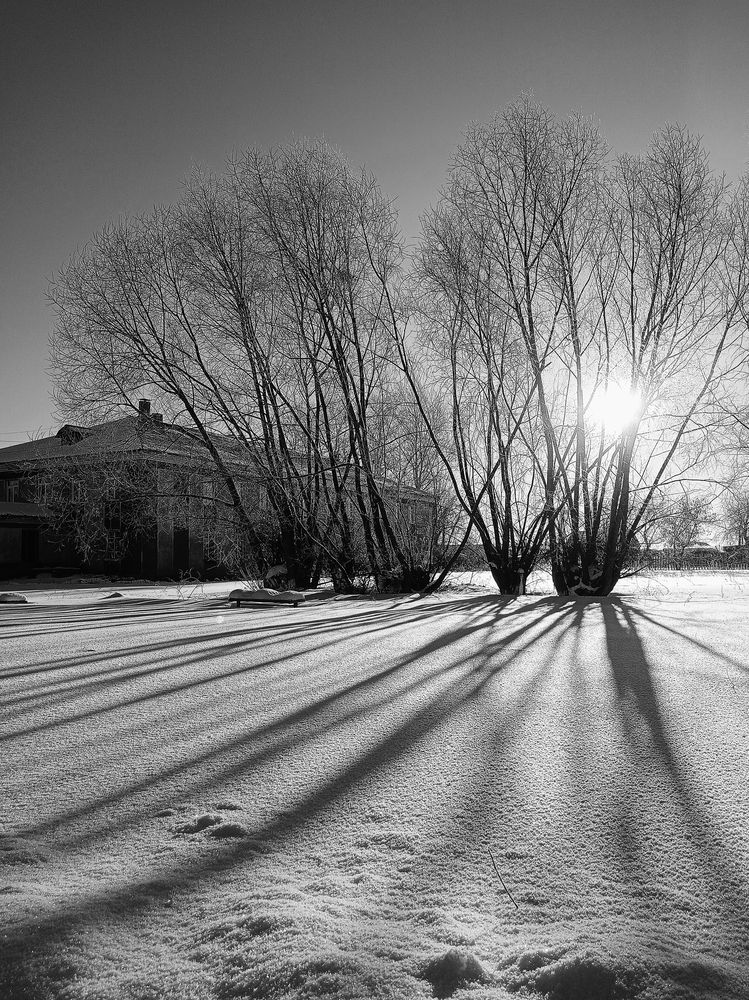 Photograph by Елена Чернякова