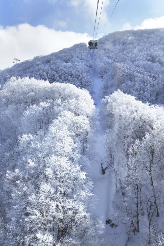 Photograph by Ly Tu Ngan