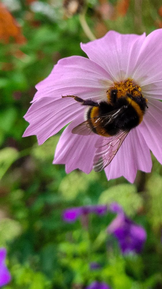 Photograph by Евгения Гродинская