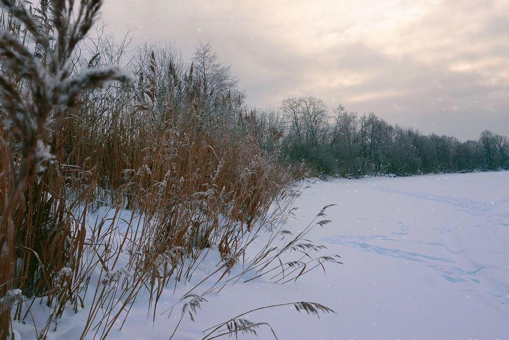 Photograph by Светлана Иванова