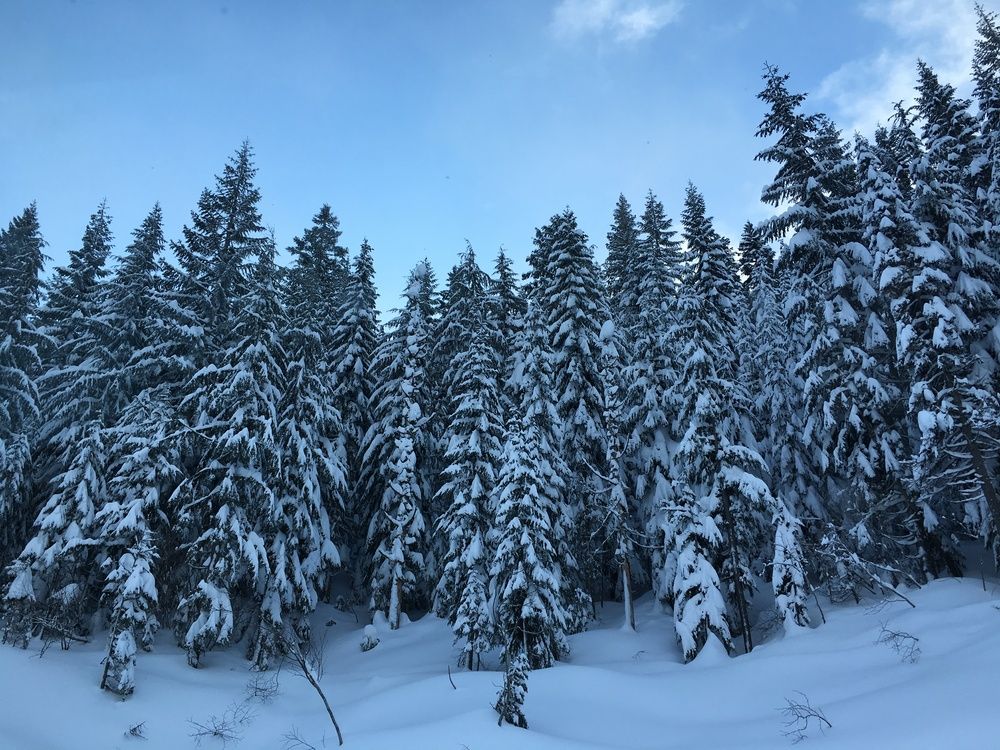 Photograph by Tatyana Novikova