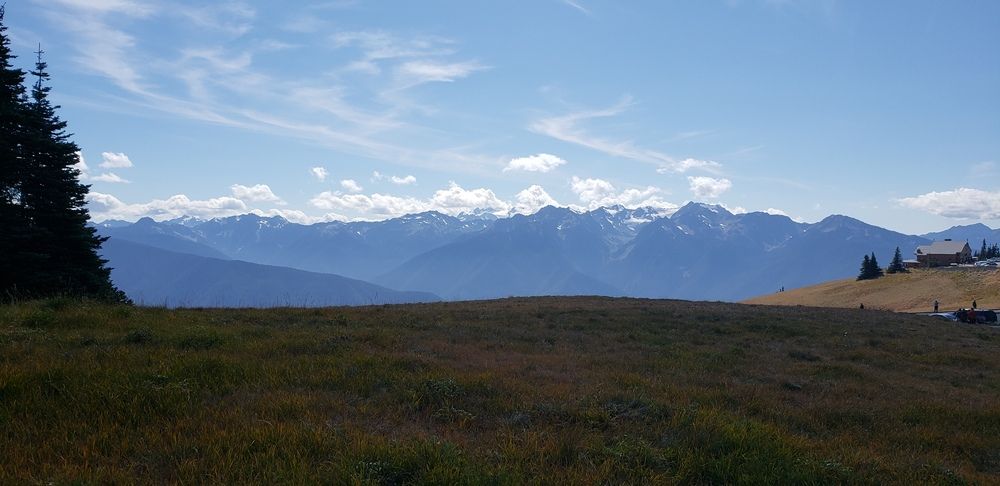 Photo #11903954