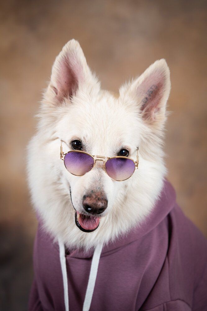 Фотография автора Вероника Черекаева