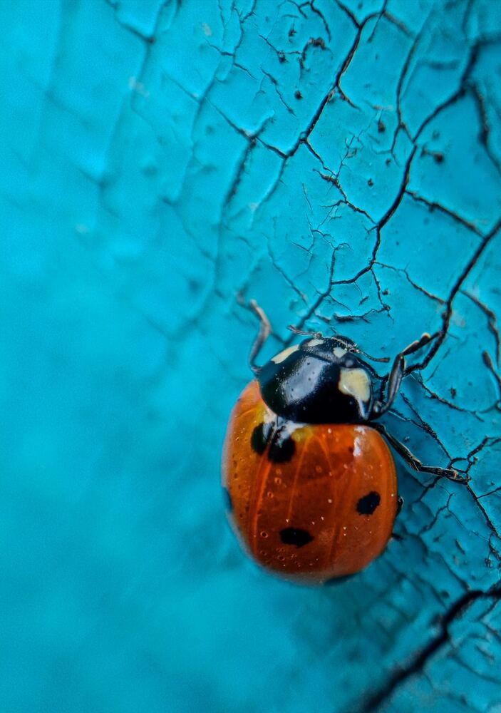 Photograph by Хамитова Светлана