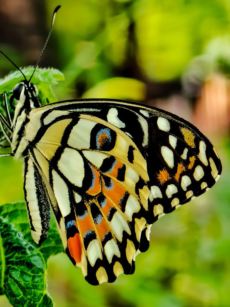 Photograph by Suryati Yati