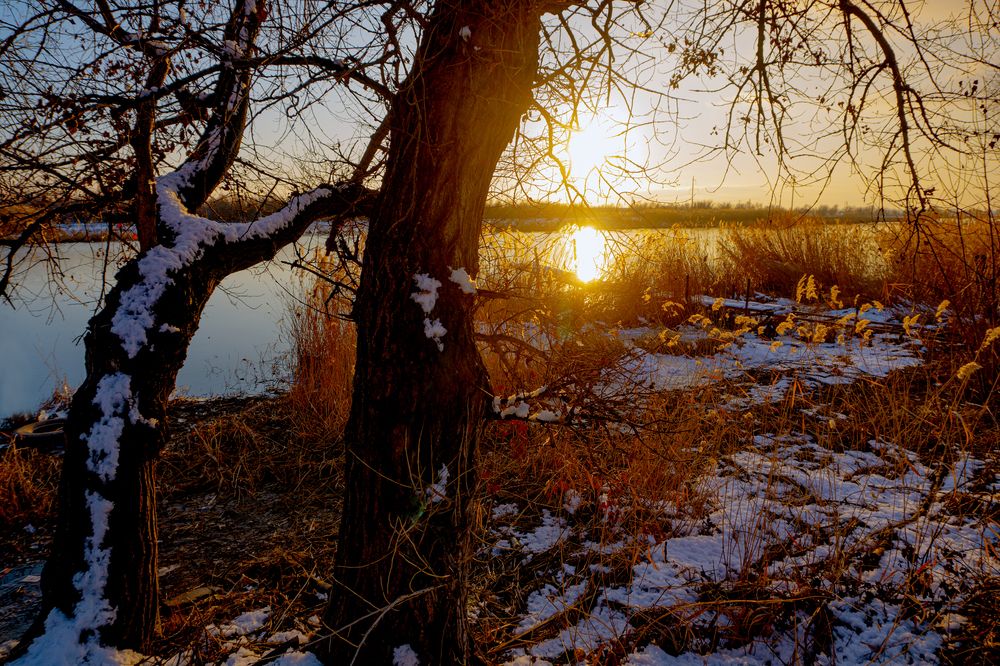 Photograph by Marina Sokolova