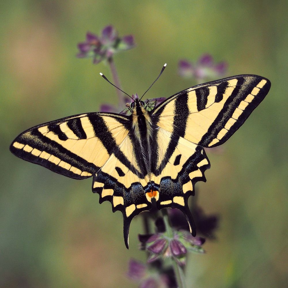 Photograph by Алексей Поляков