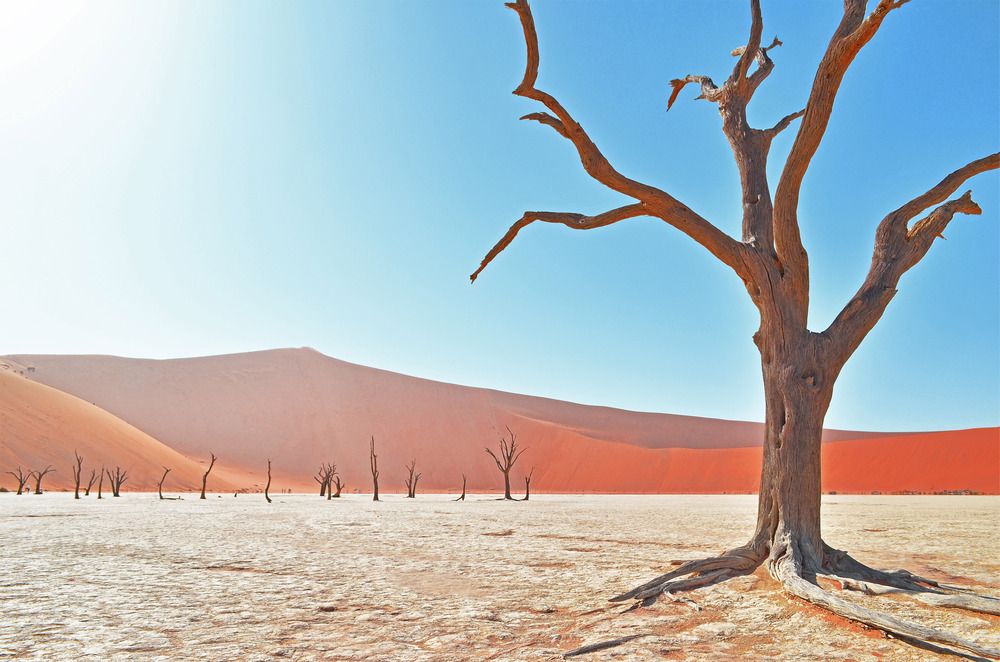 Фотография автора Julene Bosman